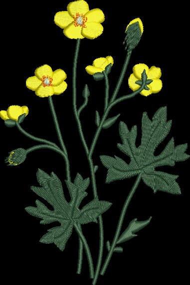 Buttercup Wild Flowers Embroidery Design Instant Download  - Multiple Sizes - 8 Formats - ThreadArt - Threadart.com