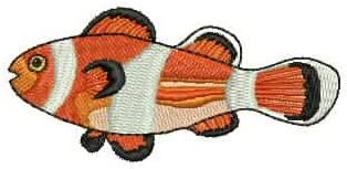 Machine Embroidery Designs - Cartoon Fish(1) - Threadart.com