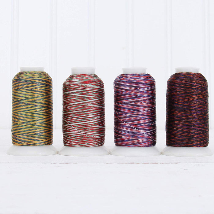 Variegated MultiColor Polyester Embroidery Thread Set - 4 Holiday
