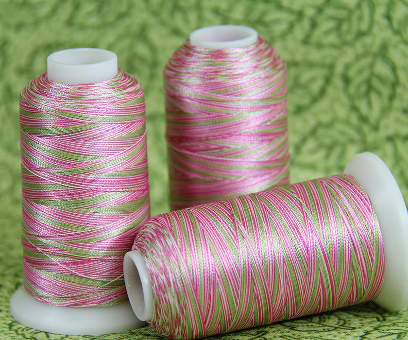 Exquisite Medley Variegated Embroidery Thread Set 1100 yd New!